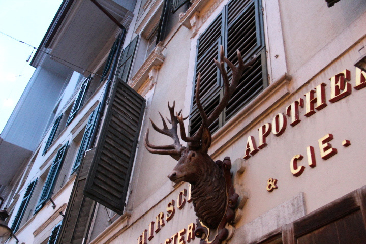 c0153740_346732.jpg