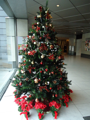 a0161943_1027919.jpg
