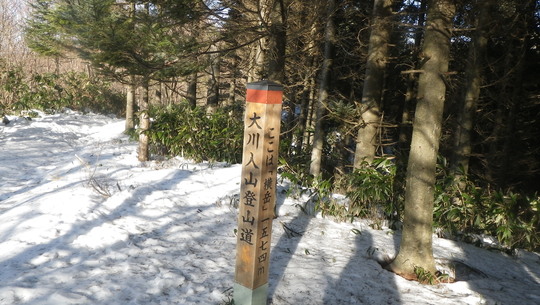 c0042847_19132041.jpg