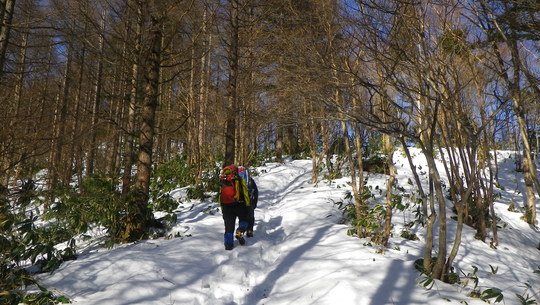c0042847_1916074.jpg