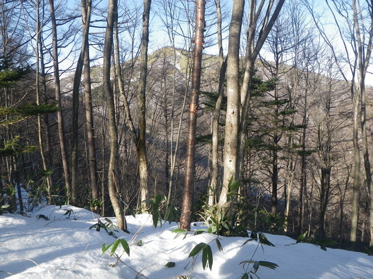 c0042847_19324783.jpg