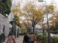 f0087347_2252835.jpg