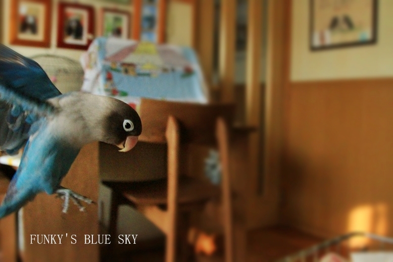 c0145250_20115639.jpg