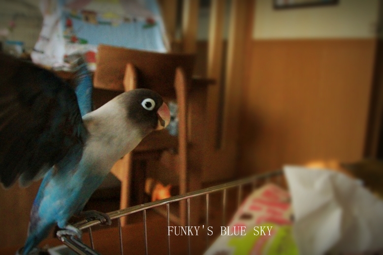 c0145250_201513.jpg