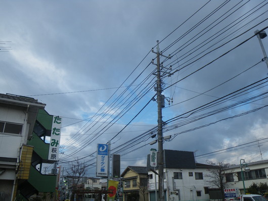 f0046250_1553415.jpg