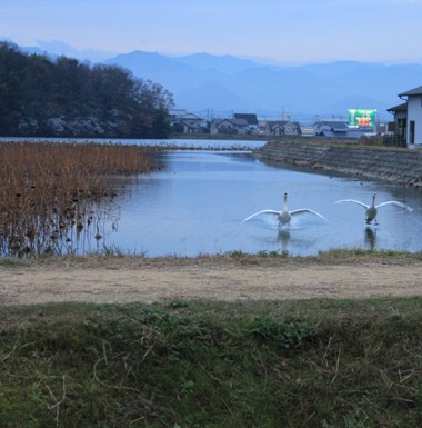 f0213651_1014745.jpg