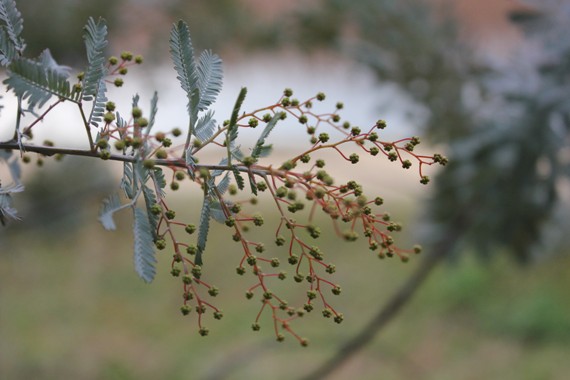 f0213651_1094019.jpg