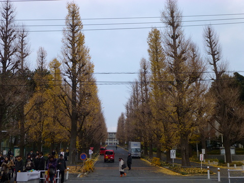 c0206352_21185513.jpg