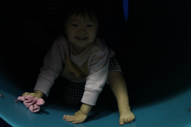 c0081257_14294856.jpg