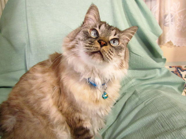 f0132565_16415794.jpg