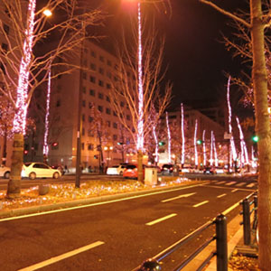 c0117570_1539835.jpg