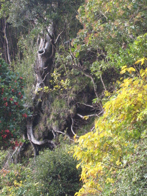 e0292172_2073361.jpg