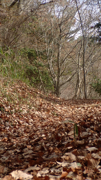 e0024081_16424682.jpg