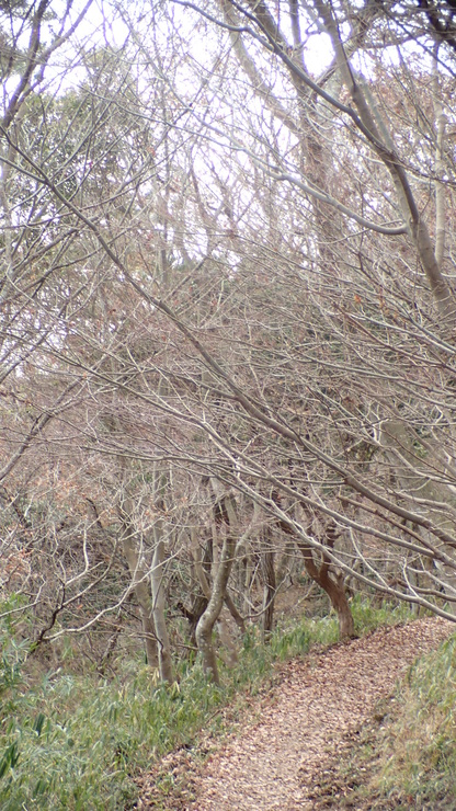e0024081_16431285.jpg