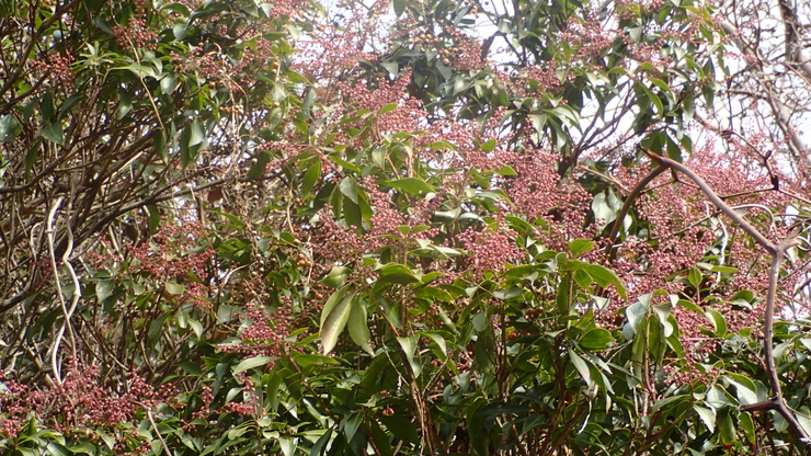 e0024081_16435168.jpg
