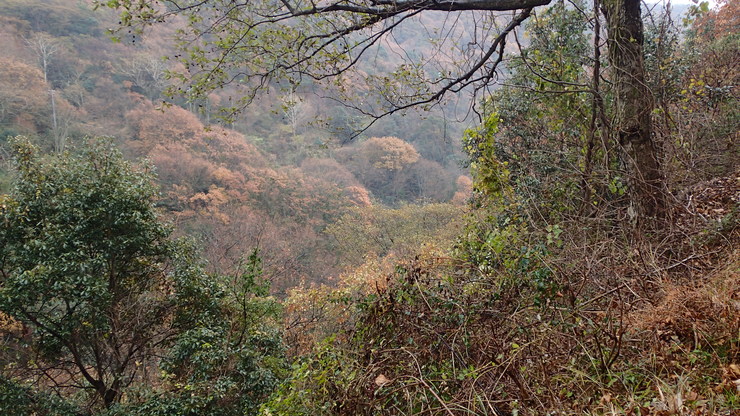 e0024081_16531773.jpg