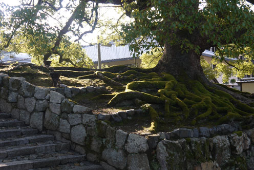 f0222692_18068.jpg