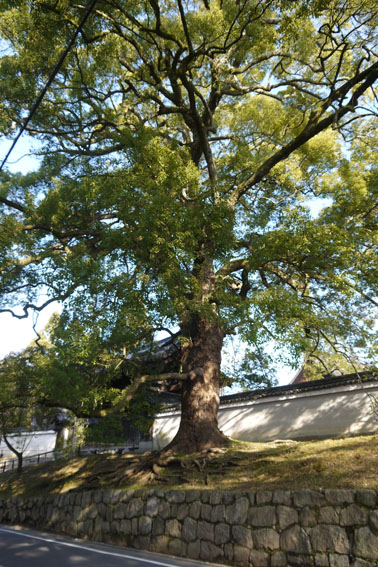 f0222692_19315364.jpg