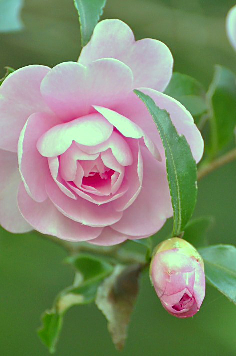 a0146195_7554844.jpg