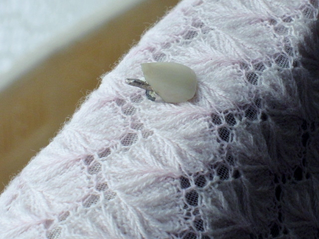 a0075800_19442160.jpg