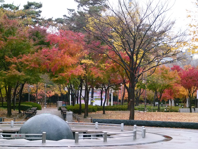 a0140305_22495599.jpg