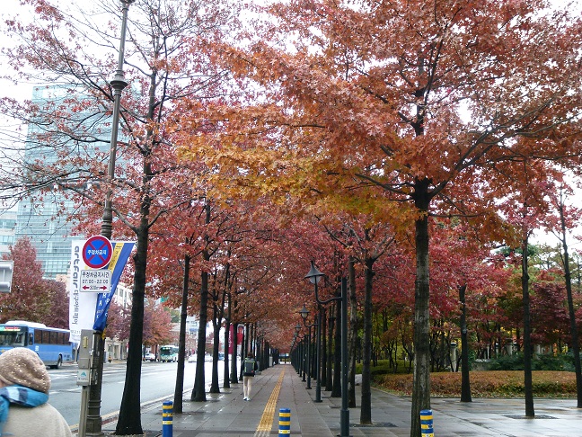 a0140305_22502182.jpg