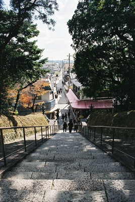d0035307_22392359.jpg