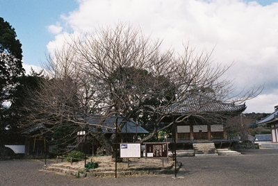 d0035307_2343519.jpg