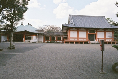 d0035307_236123.jpg