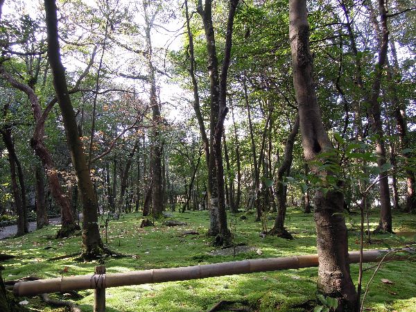 c0149408_18424187.jpg