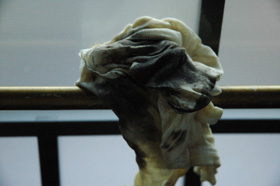 f0000211_212105.jpg