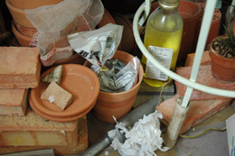 f0000211_2163623.jpg