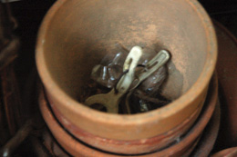 f0000211_216816.jpg