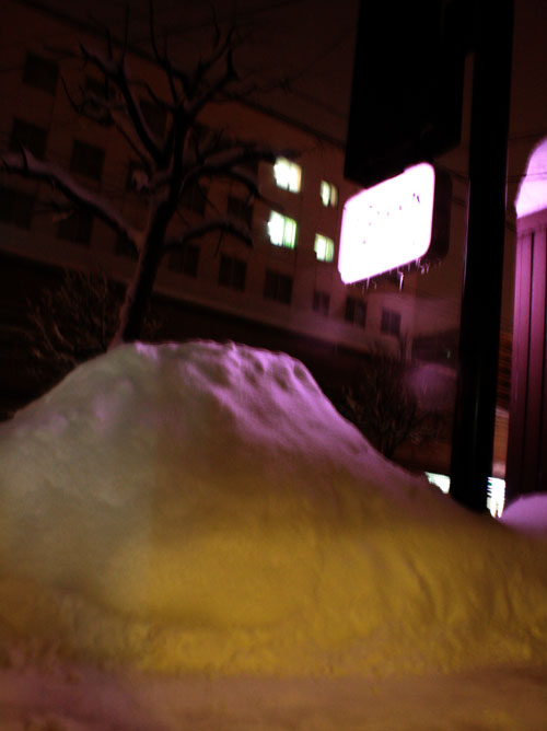 a0139912_22595358.jpg