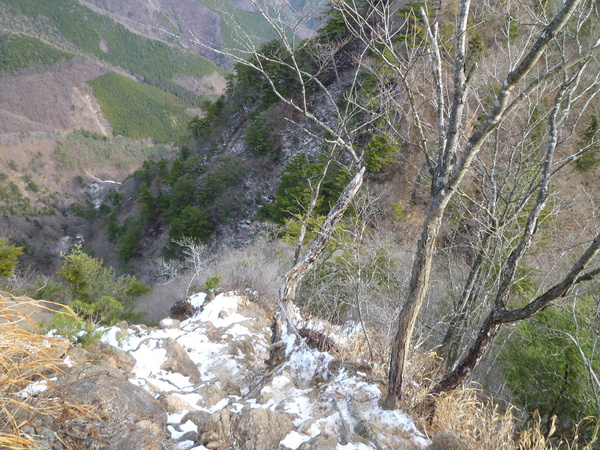 d0170615_993094.jpg