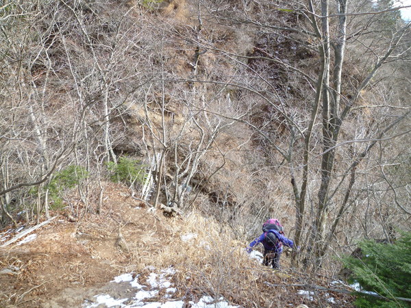 d0170615_99781.jpg