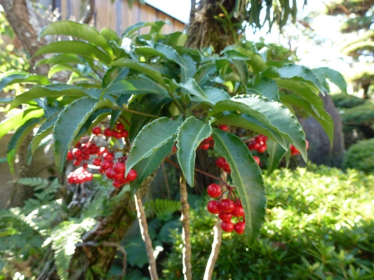 c0042418_8521819.jpg