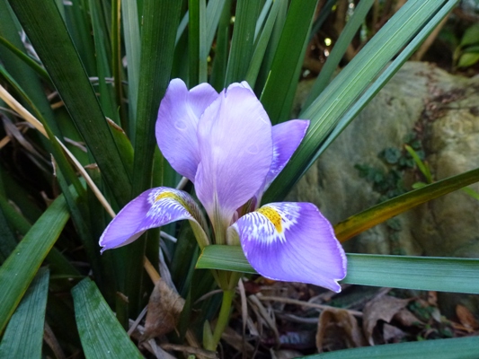 c0042418_8522577.jpg