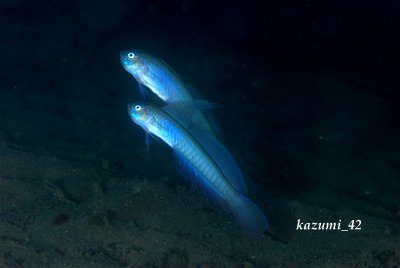 b0164920_1223764.jpg