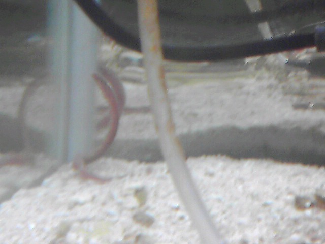 a0291521_1934484.jpg