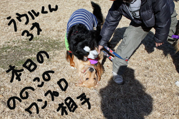 f0203423_13471334.jpg