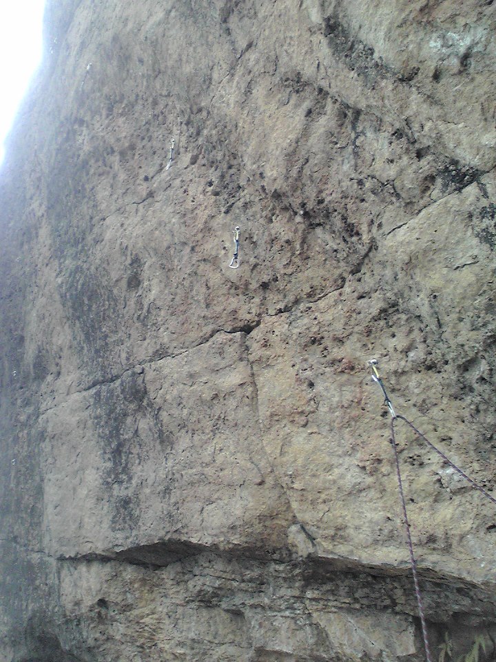 f0050226_1219333.jpg