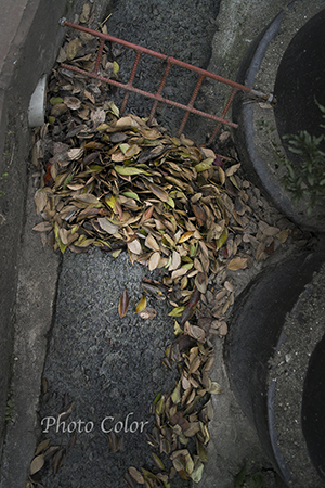f0078127_826403.jpg