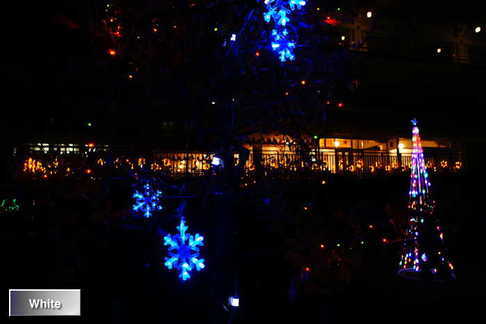 c0227134_234366.jpg