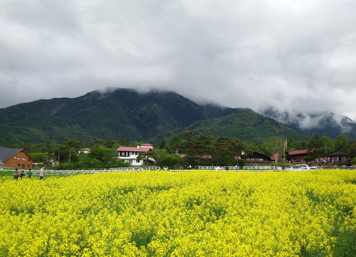 b0178339_189284.jpg