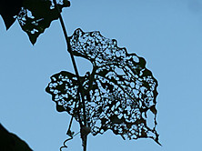 d0288144_17155438.jpg