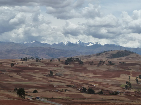 d0288144_1716315.jpg