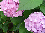 d0288144_18155363.jpg