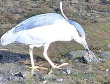 d0288144_20154919.jpg