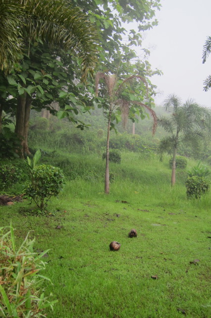 e0039744_20273117.jpg